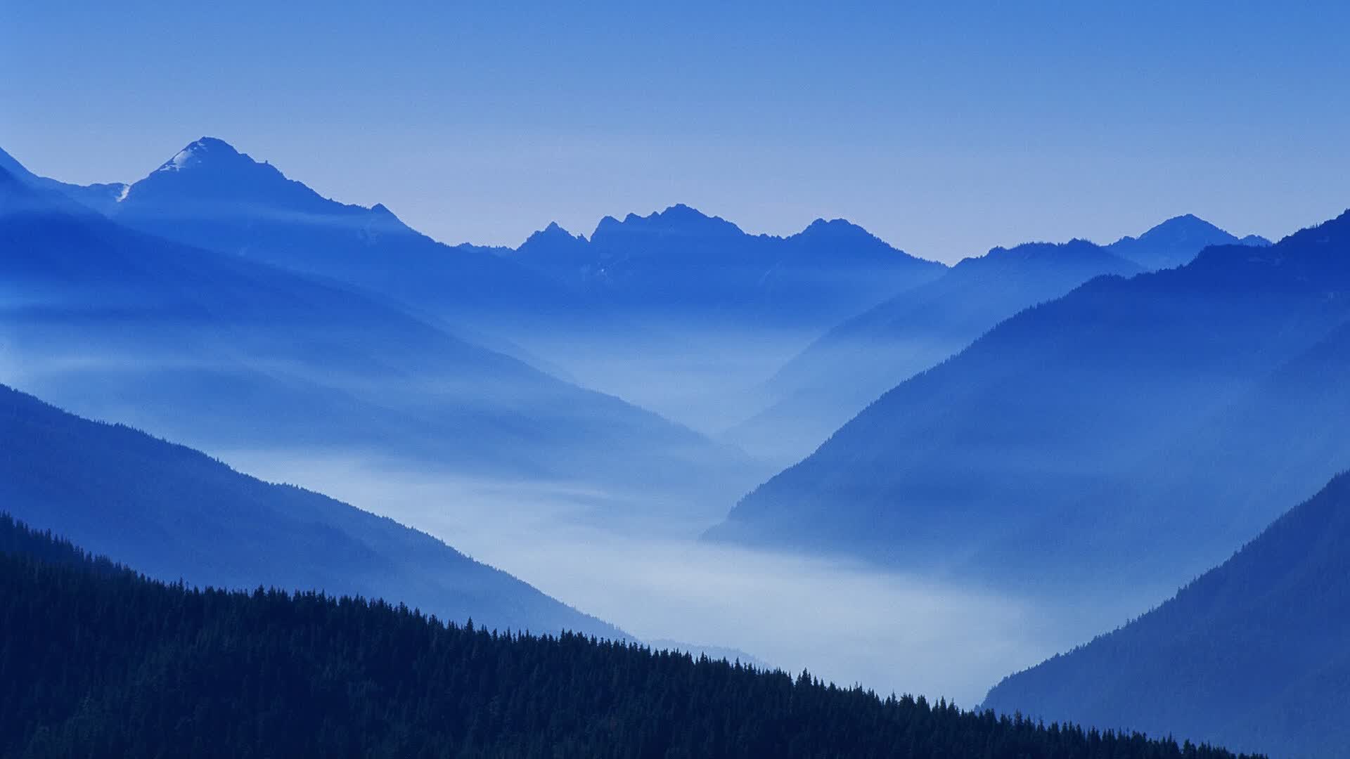 世界短道速滑科研训练营第18期导师公开课录像上线，世界短道速滑锦标赛2021中国队