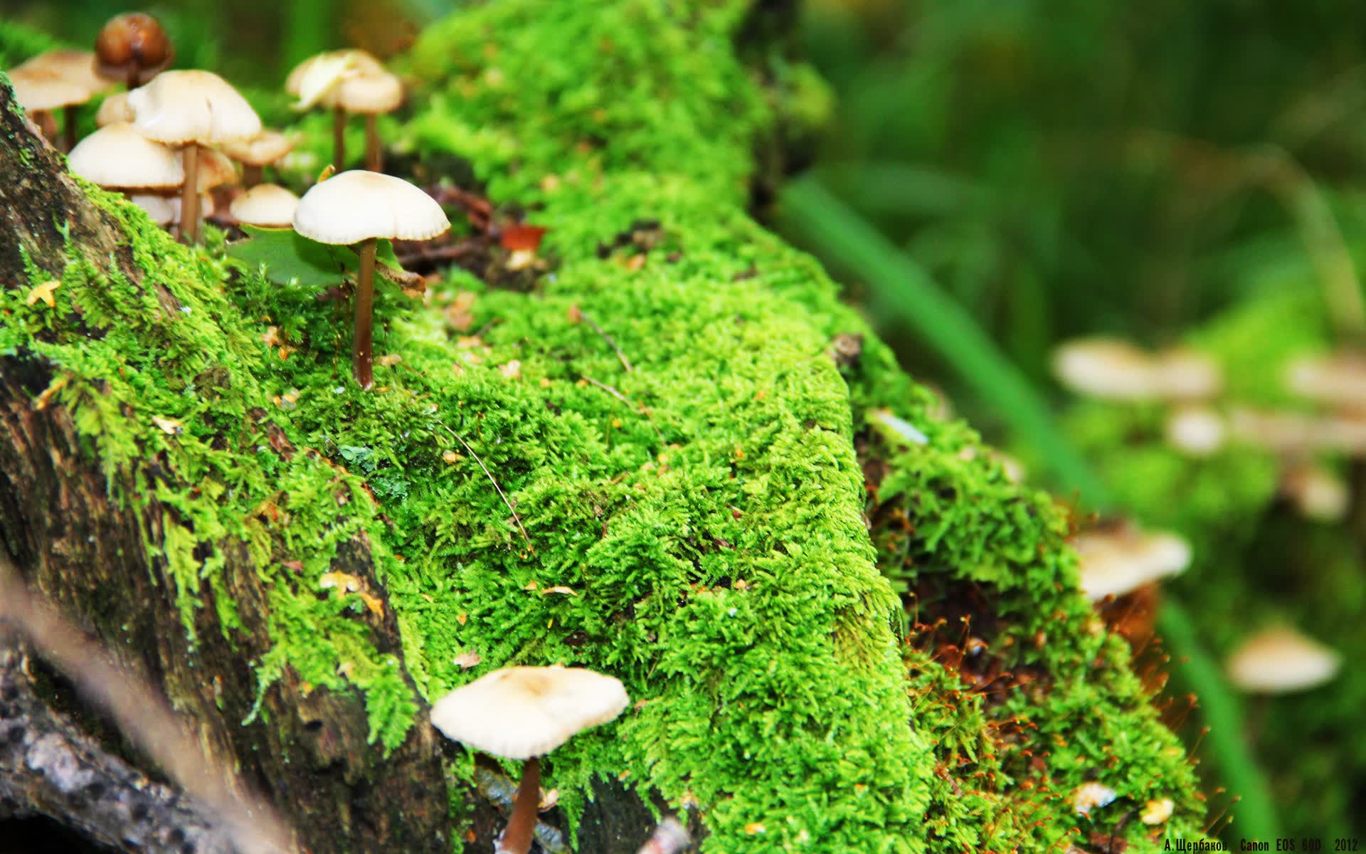 世界网球巡回赛赛场文化活动促进城市青年参与，世界网球巡回赛操作
